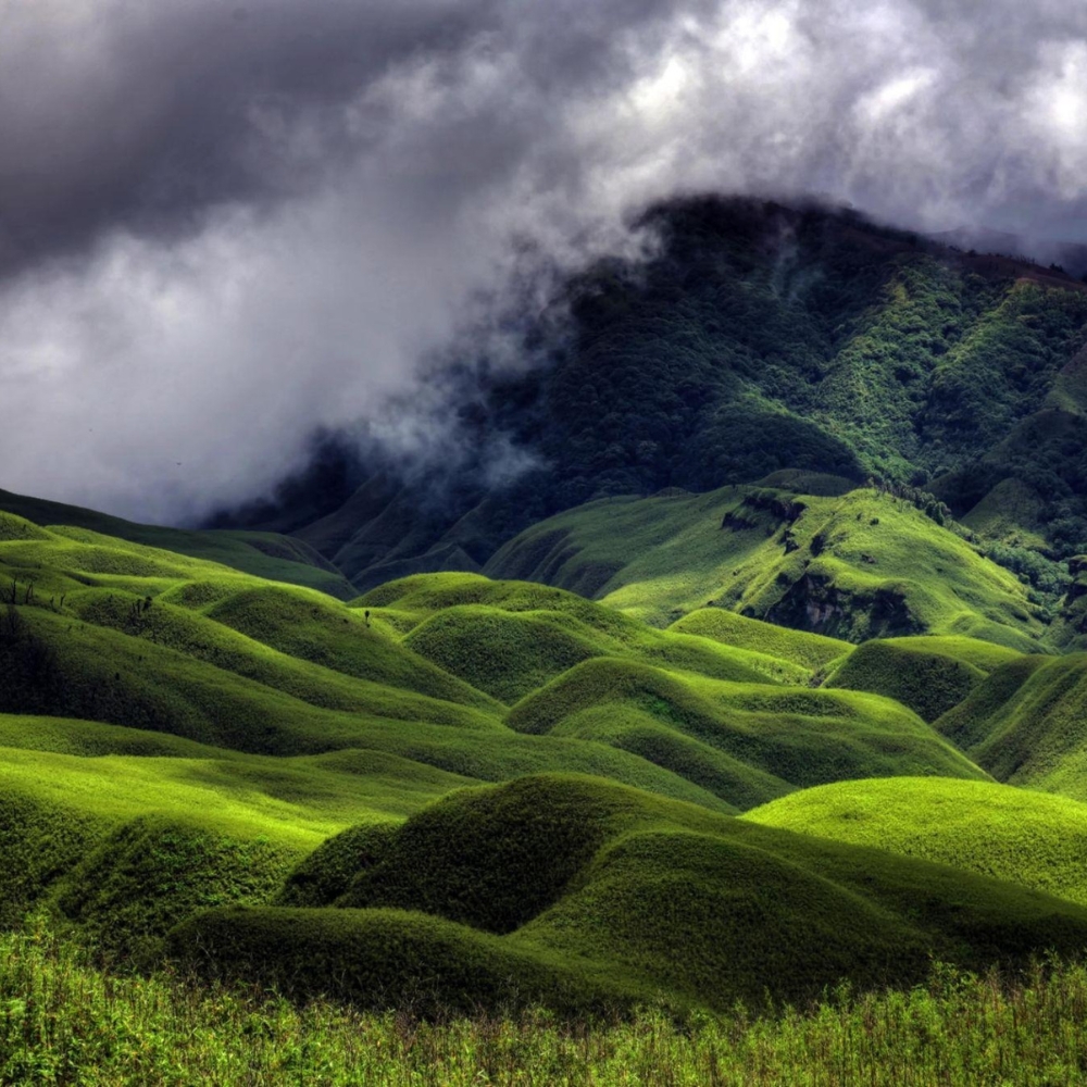 Dzukou Valley